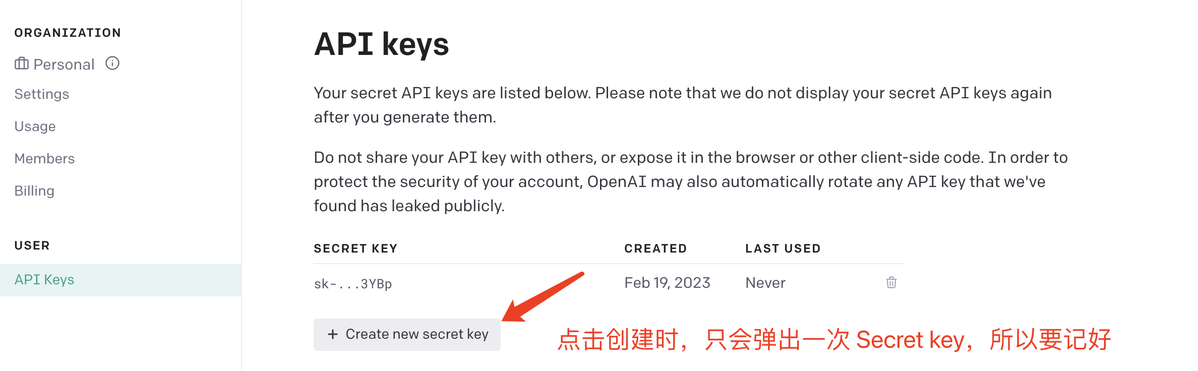 OpenAI 的 Secret Key